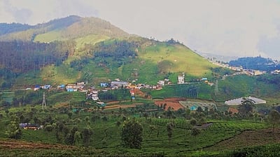 இயற்கையை பாதுகாப்போம்!