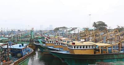 பலத்த காற்று எதிரொலி: தூத்துக்குடியில் விசைப்படகு மீனவர்கள் கடலுக்கு செல்லவில்லை 