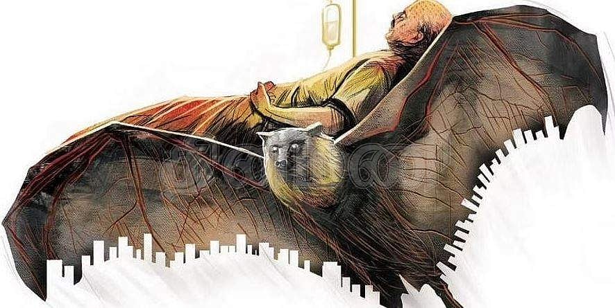 நிபா வைரஸ் எப்படிப் பரவுகிறது? அறிகுறிகள் என்ன? பரவாமல் தடுப்பது எப்படி?