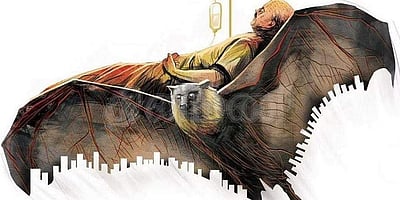 நிபா வைரஸ் எப்படிப் பரவுகிறது? அறிகுறிகள் என்ன? பரவாமல் தடுப்பது எப்படி?