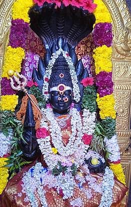 அம்மன் கோயில்களில் ஆவணி அமாவாசை வழிபாடு