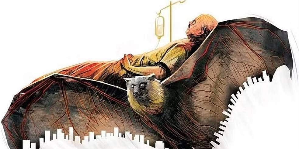 நிபா எச்சரிக்கை தேவை!