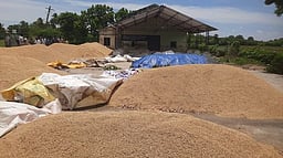 கோடை மழை: கொள்முதல் நிலையங்களில் சேதமடையும் நெல் மூட்டைகள்