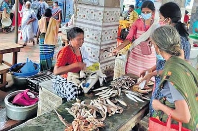 புரட்டாசி மாத பிறப்பையொட்டி மீன் சந்தையில் குவிந்த மக்கள்!