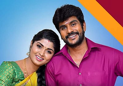 திருமண வாழ்க்கையில் நுழைந்த வானத்தைப்போல தொடர் நடிகர்!