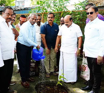 சாா் பதிவாளா் அலுவலகத்தில் மரக்கன்று நட்ட ஆட்சியா்