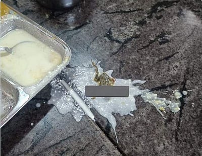 கல்லூரி விடுதி உணவில் தவளை!