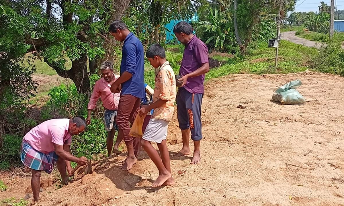 News image