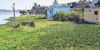 தாம்பரம் ஏரியைக் காப்பாற்ற வழியே இல்லையா?