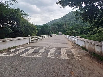 தமிழகம் - கர்நாடகம் இடையே பேருந்து சேவை முடங்கியது! பயணிகள் அவதி