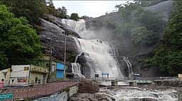 குற்றாலம் பேரருவியில் குளிக்க
அனுமதிக்க கோரி மனு