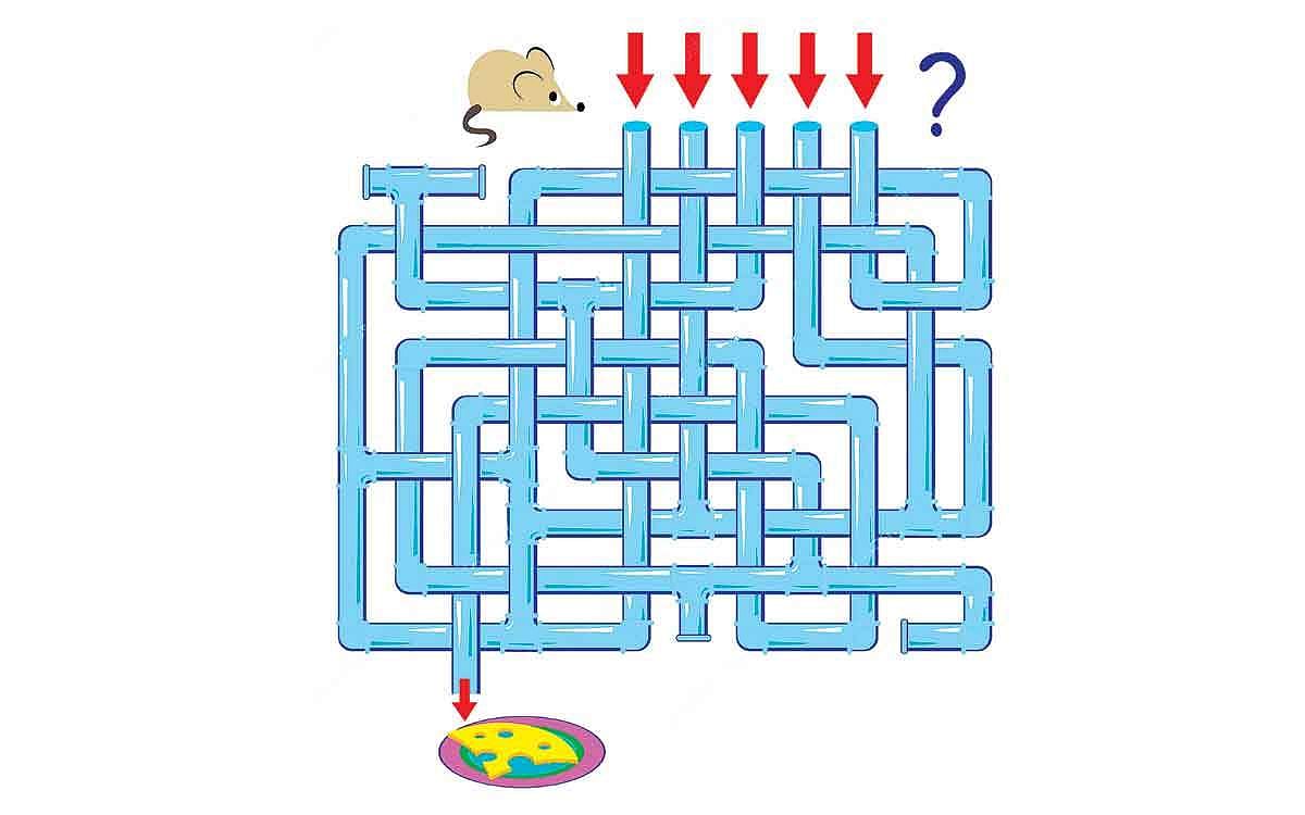 கண்டுபிடியுங்கள் பார்க்கலாம்