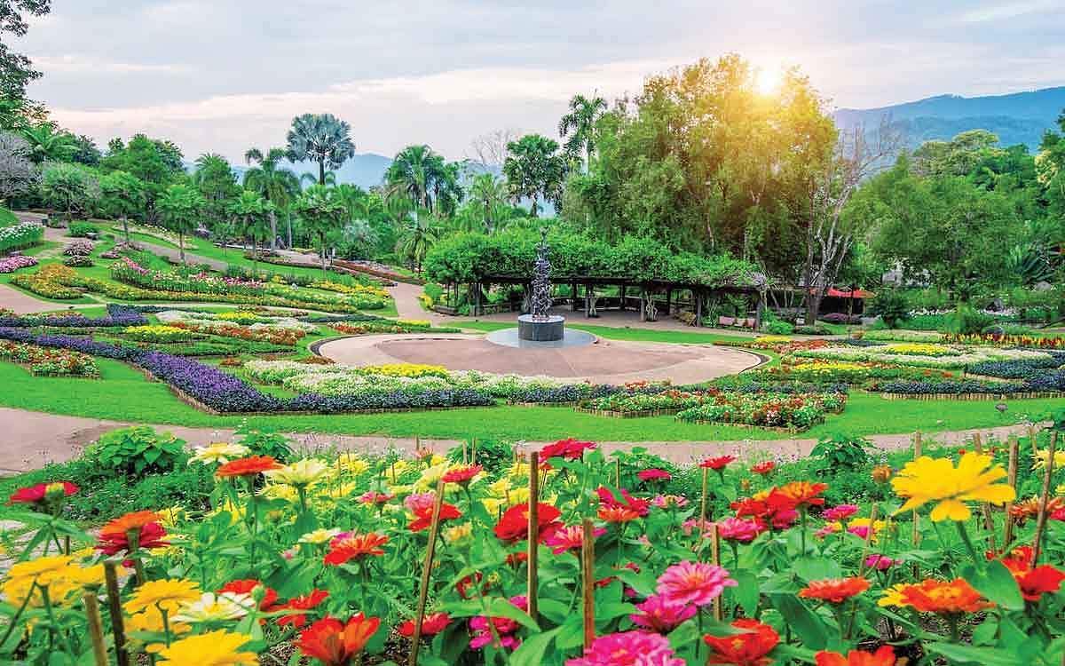 தோட்ட உலா