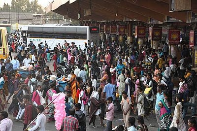 பொங்கல் பண்டிகையை இனிப்பாக்கிய ஆம்னி பேருந்துகள்