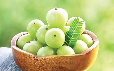 பாட்டி வைத்தியம்