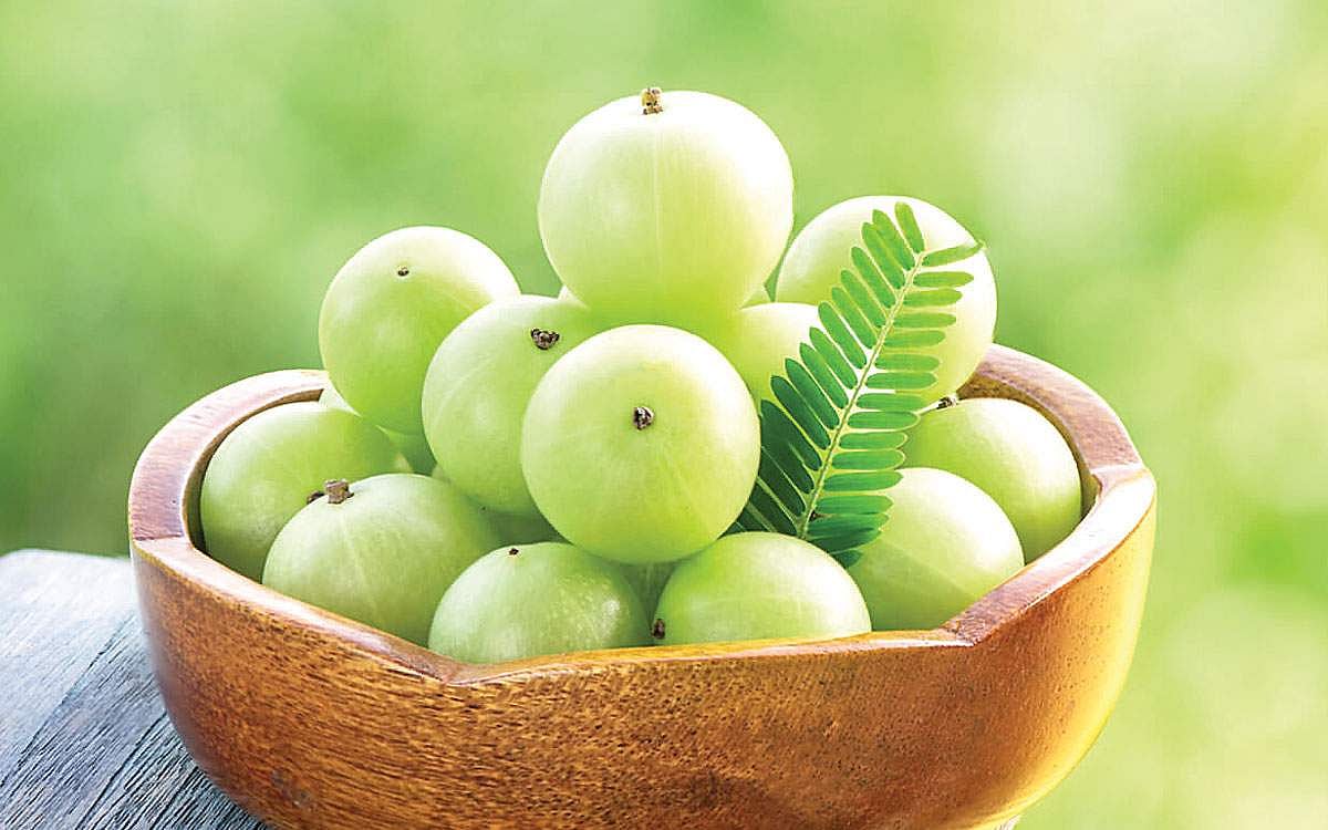 பாட்டி வைத்தியம்