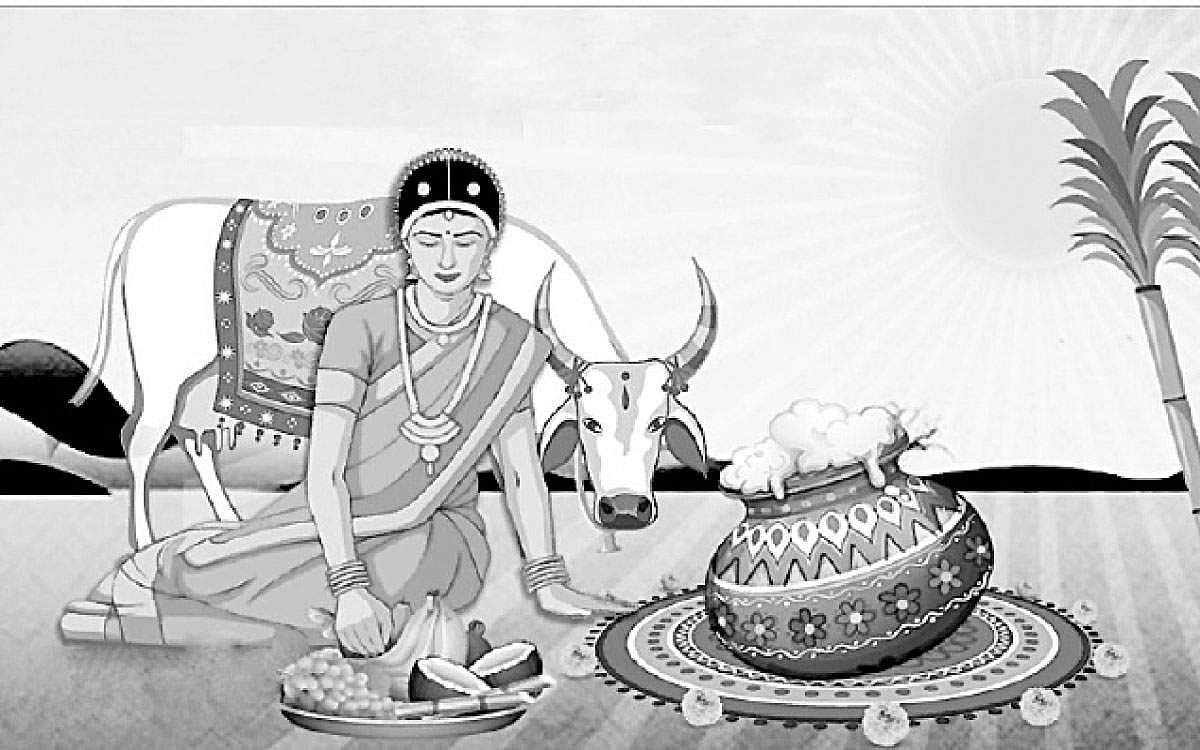 தைத்திங்களின் தனிச்சிறப்பு!