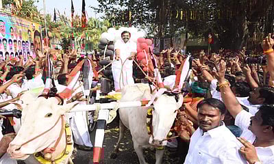 பொங்கல் பண்டிகையை முன்னிட்டு இரட்டை மாட்டு வண்டியை ஓட்டிய எடப்பாடி பழனிசாமி!