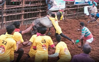 அவனியாபுரம்  ஜல்லிக்கட்டுப் போட்டி: 7 காளைகளை அடக்கி தேனி வீரர் முதலிடம்!