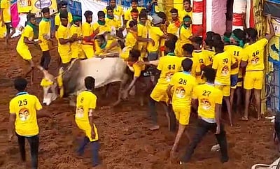 பாலமேடு ஜல்லிக்கட்டில் 18 பேருக்கு காயம்!