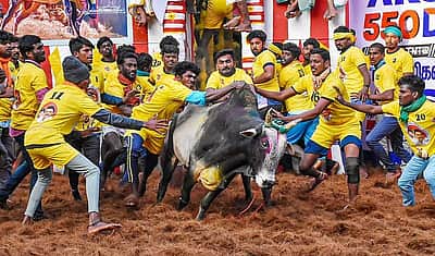 அலங்காநல்லூர் ஜல்லிக்கட்டு: 18 காளைகளை அடக்கி கார்த்திக் முதலிடம்
