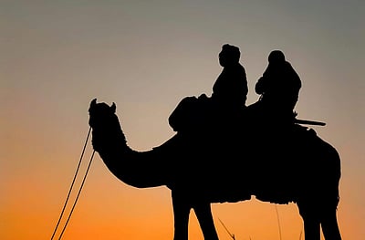 ஒட்டகத்தில் மாப்பிள்ளை அழைப்பு... வழக்குப் பதிவுசெய்த காவலர்கள்!