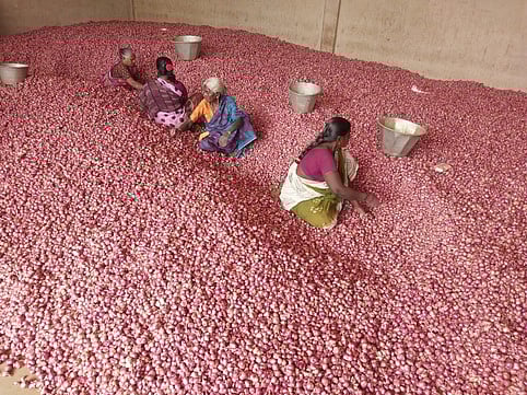 வரத்து அதிகரிப்பால் சின்ன வெங்காயம் விலை வீழ்ச்சி!