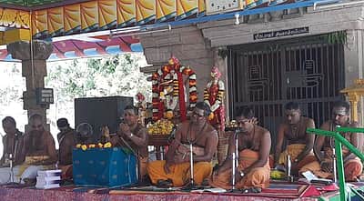 சேவூர் வாலீஸ்வரர் கோயிலில் திருவாசகம் முற்றோதல்