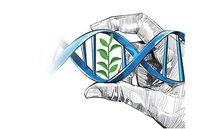 ‘900 ஆண்டுகள் மனிதன் வாழ்ந்தான்’ : சர்ச்சைக்குள்ளான அறிவியலாளர் பதவிநீக்கம்