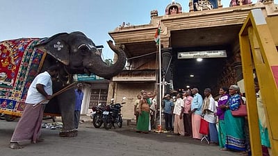 நெல்லையில் தேசியக்கொடிக்கு காந்திமதி யானை மரியாதை!