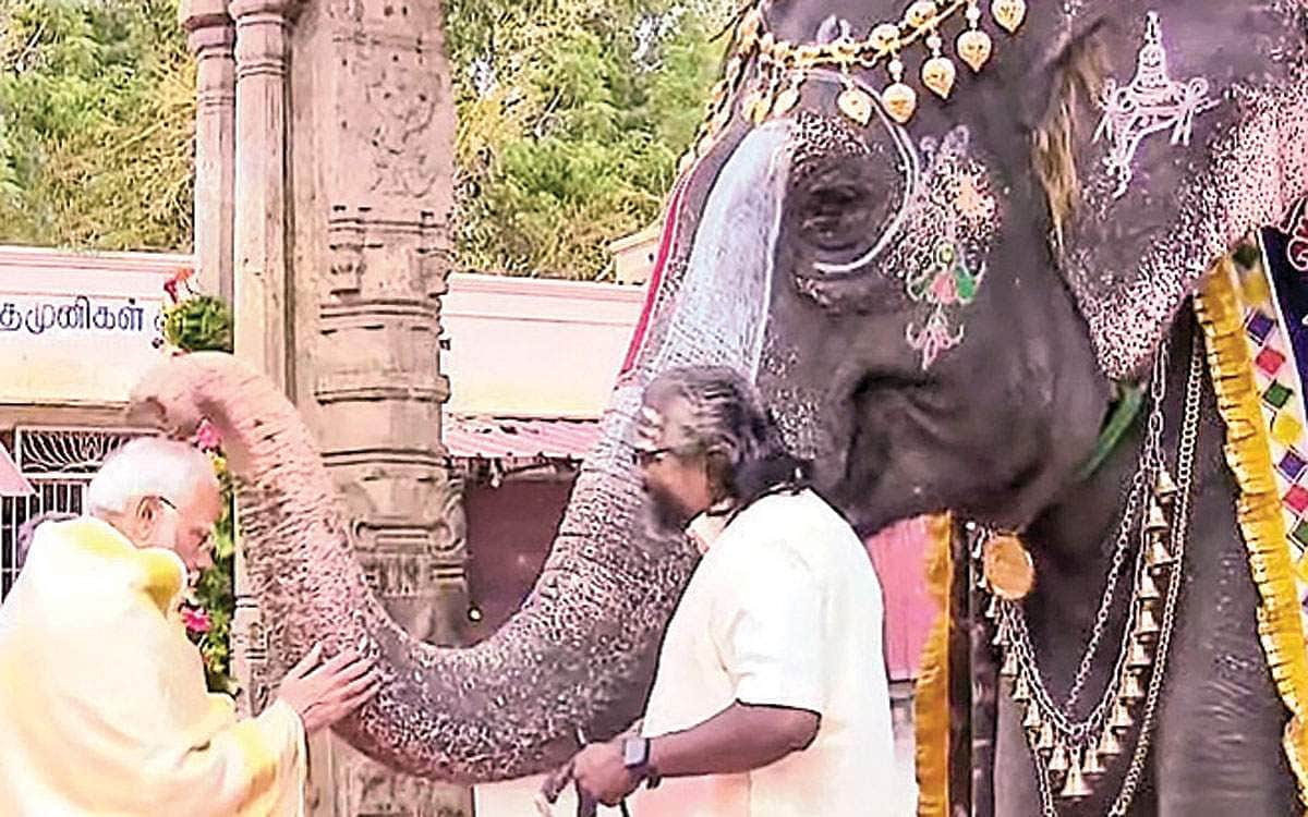 News image