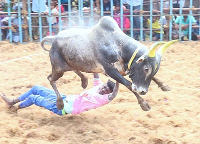 மதுரை அவனியாபுரம் ஜல்லிக்கட்டு: மாவட்ட நிர்வாகம் முக்கிய அறிவிப்பு