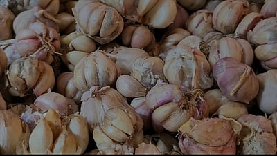 உச்சத்தைத் தொட்ட பூண்டு விலை: கிலோ ரூ. 550-க்கு விற்பனை