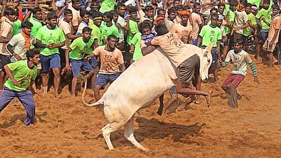 ஜல்லிக்கட்டுப் போட்டி: காவல்துறையின் பத்து கட்டுப்பாடுகள் என்ன தெரியுமா?