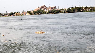 ஜன.18ஆம் தேதி காவிரி நீர் ஒழுங்காற்றுக் குழு கூட்டம் 