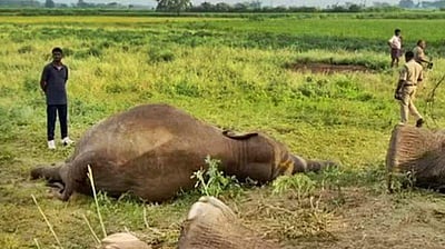 யானை பலி... சேதமடைந்த ரயில் இன்ஜின்