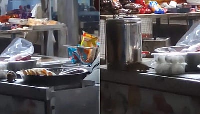 ரயில்வே உணவை சுவைத்த எலி! வைரல் விடியோ