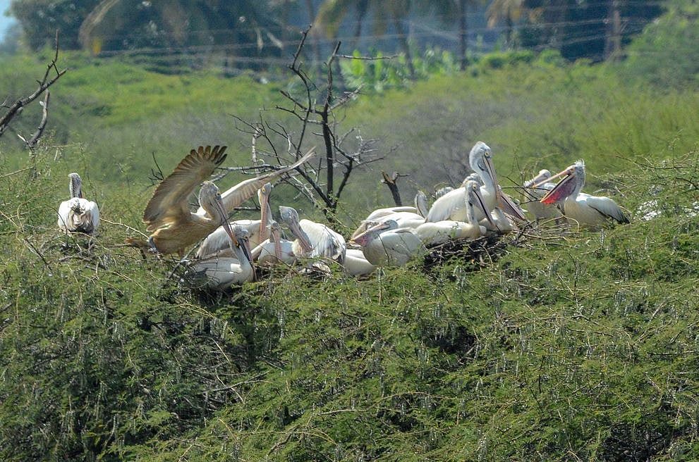 7 ஆண்டுகளாக பேருந்து வசதியில்லாத பறவைகள் கிராமம்!