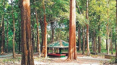 ‘புஷ்பா’ படப் பாணியில் காவலர்கள்- கடத்தல்காரர்கள் மோதல்: 50 பேர் மீது வழக்குப் பதிவு