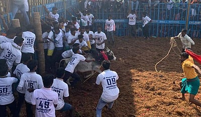 புதுக்கோட்டை- குளத்தூரில் விறுவிறு ஜல்லிக்கட்டு