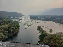 வெங்காயத்தாமரை செடிகளை அகற்றக் கோரிக்கை