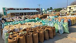 பெரம்பலூா் ஒழுங்குமுறை விற்பனைக் கூடத்தில் 236 மெ.டன் வேளாண் விளைபொருள்கள் ஏலம்