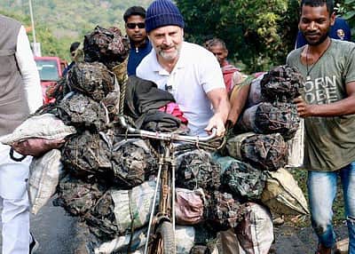 நிலக்கரி கொண்டு செல்வோரின் சைக்கிளுடன் ராகுல்!
