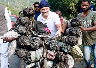 நிலக்கரி கொண்டு செல்வோரின் சைக்கிளுடன் ராகுல்!