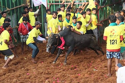 தஞ்சாவூர் அருகே மாதாகோட்டையில் ஜல்லிக்கட்டு