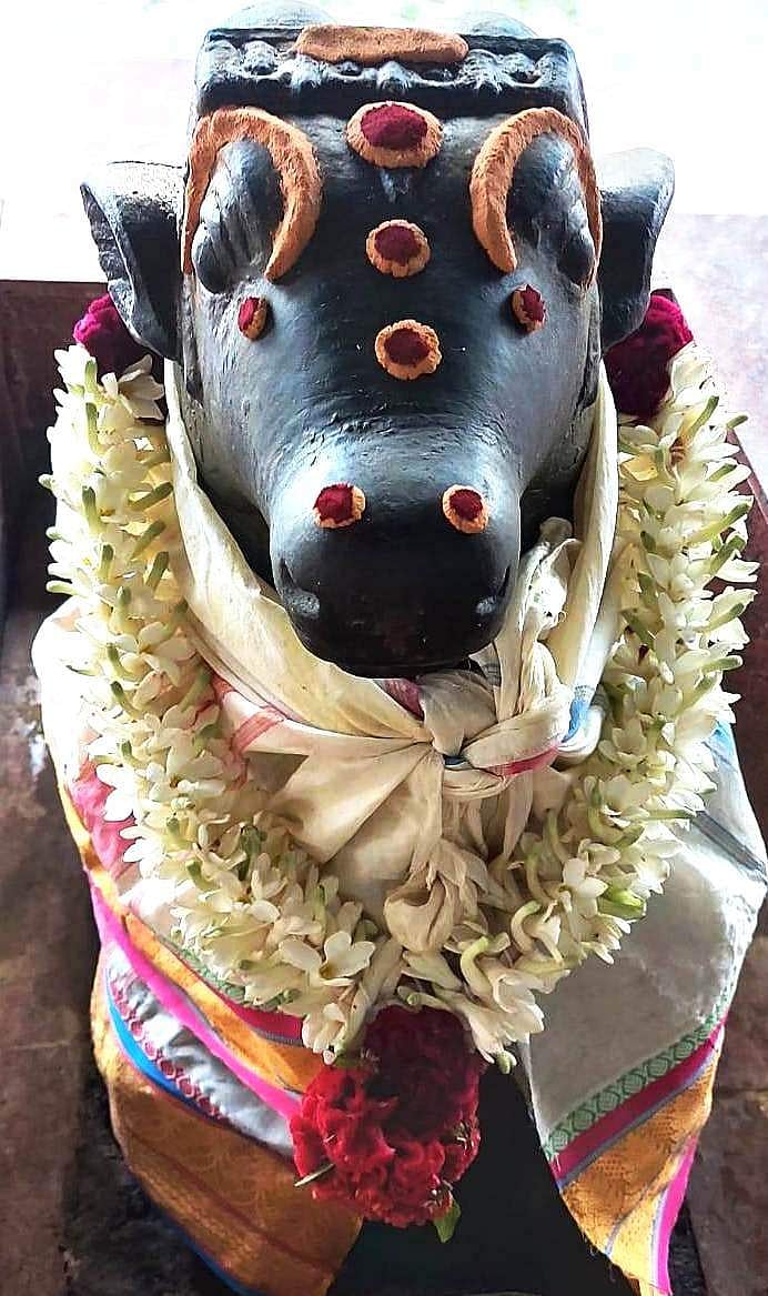 நந்தி பகவானுக்கு புதன்கிழமை மாலை செய்யப்பட்டிருந்த சிறப்பு அலங்காரம்