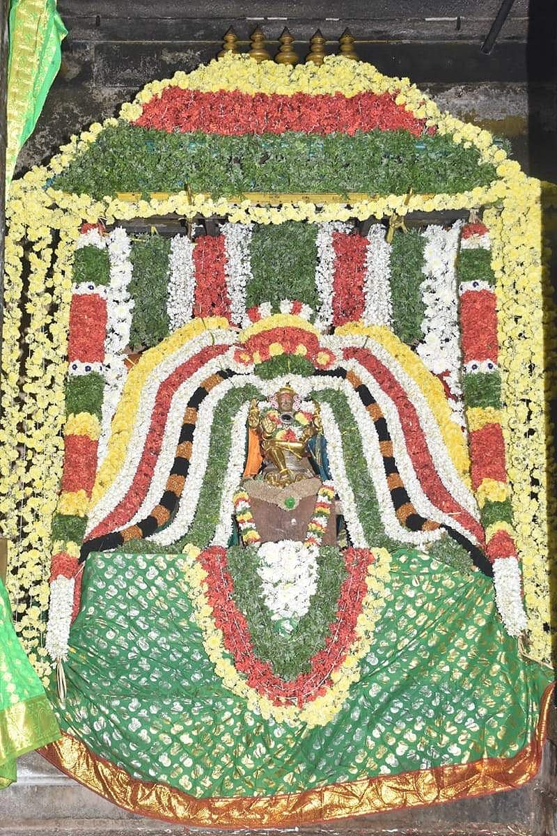 6. தங்கக்கவச அலங்காரத்தில் உற்சவதெட்சிணாமூர்த்தி.