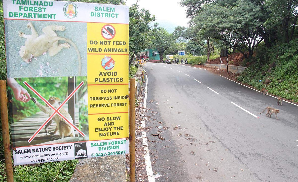 வனத்துறை சார்பில் ஏற்காடு செல்லும் பாதையில் சுற்றுலா பயணிகள் சாலையோரம் உள்ள குரங்குகளுக்கு உணவுகள் வழங்கக்கூடாது என்று வைக்கப்பட்டுள்ள விழிப்புணர்வு பதாகை.
