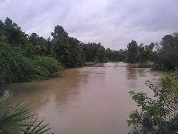 வானூர் அருகே நரசிம்ம ஆற்றில் ஏற்பட்ட வெள்ளப் பெருக்கு