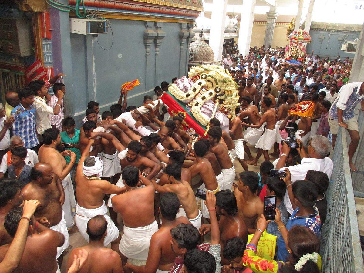 உன்மத்த நடனமாக செண்பக தியாகராஜசுவாமி.